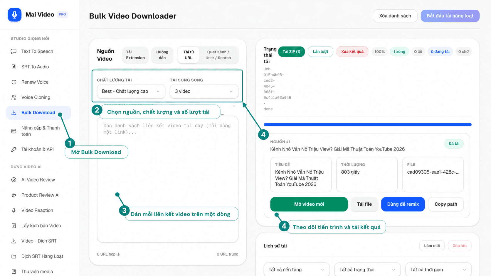 Hướng dẫn tab Bulk Download